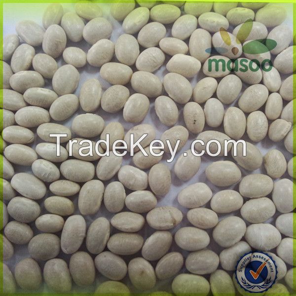 white kidney beans(navy bean)