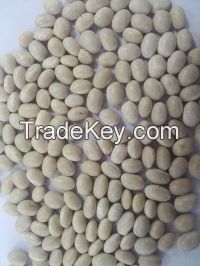 white kidney beans from China(navy bean)