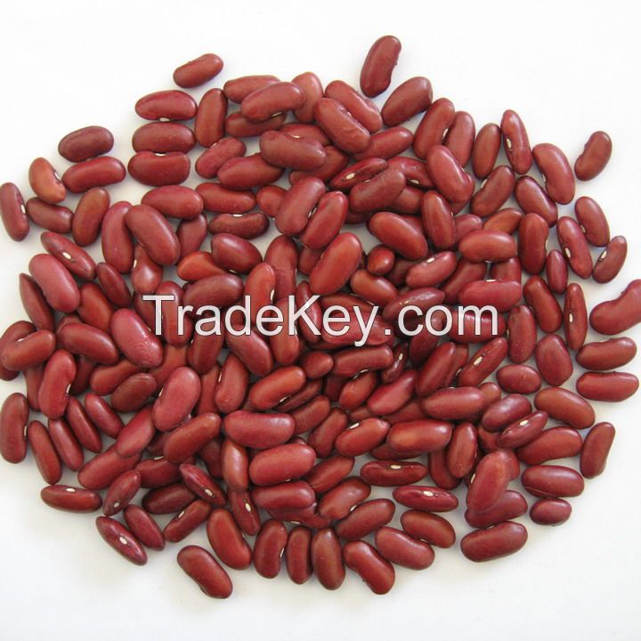 red kidney beans from China(British red type)