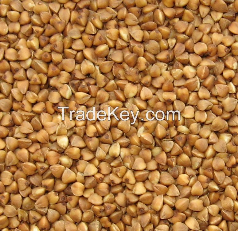 export chinese roasted buckwheat 