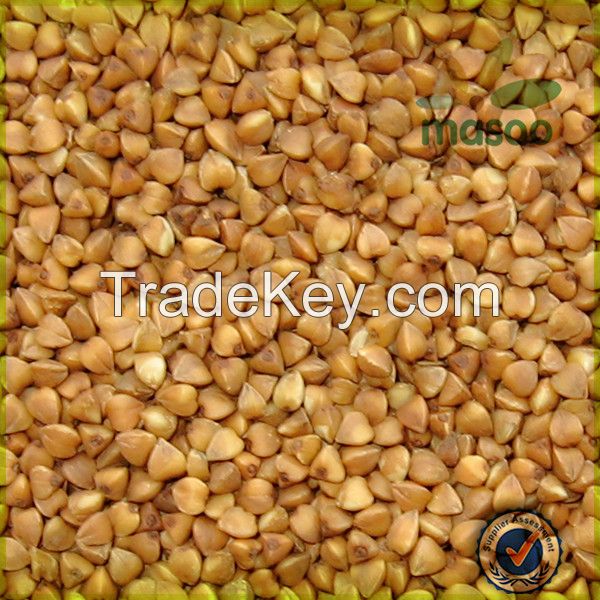 export chinese roasted buckwheat in large quantity