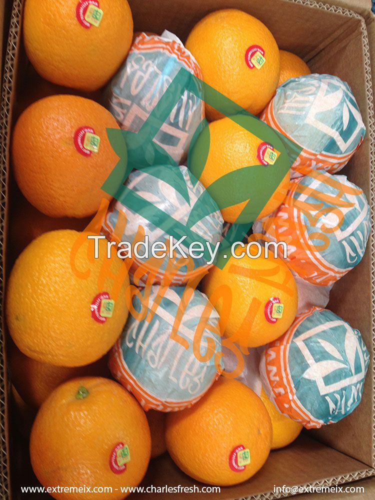 Valencia Oranges