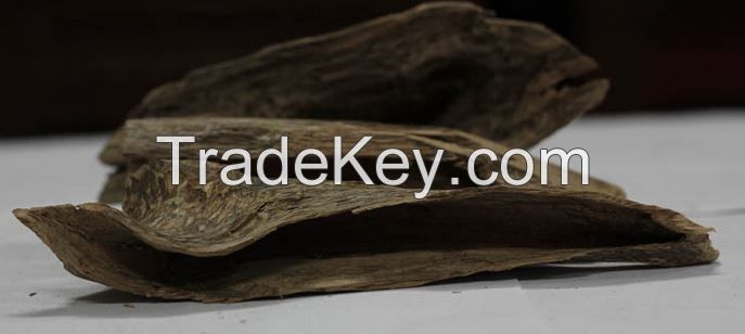 Agarwood Chip Premium