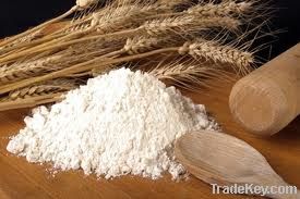 Wheat Flour