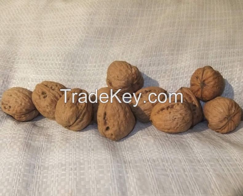 Walnuts Hazelnuts from Poland, currently in UK