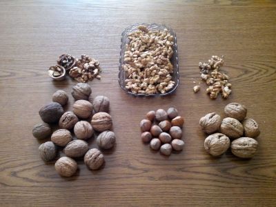Walnuts Hazelnuts from Poland, currently in UK