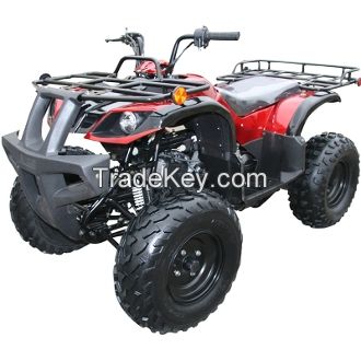 Youth ATVs