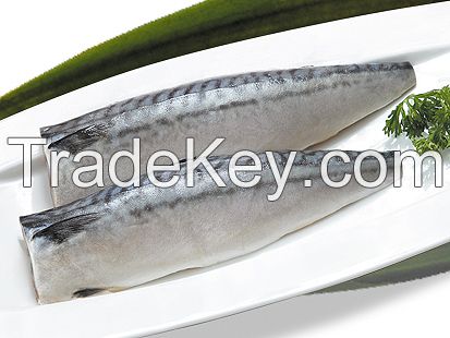 frozen mackerel fillet SCOMBER SCOMBRUS