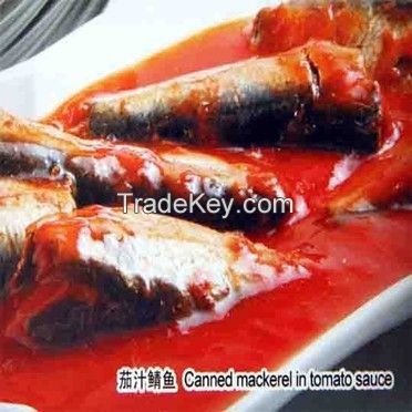 canned mackerel in brine (tomato sauce)