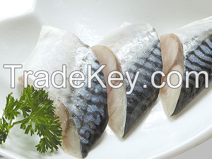 frozen mackerel fillet SCOMBER SCOMBRUS