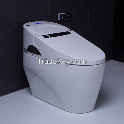 Smart computer aid toilet