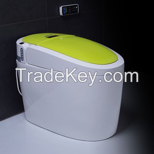 HZH/Hezheng smart toilet