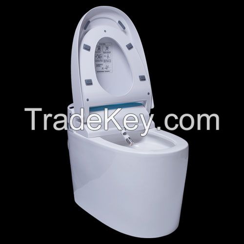 HZH/Hezheng smart toilet