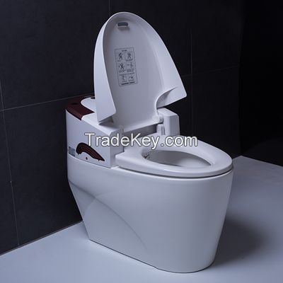 Smart computer aid toilet