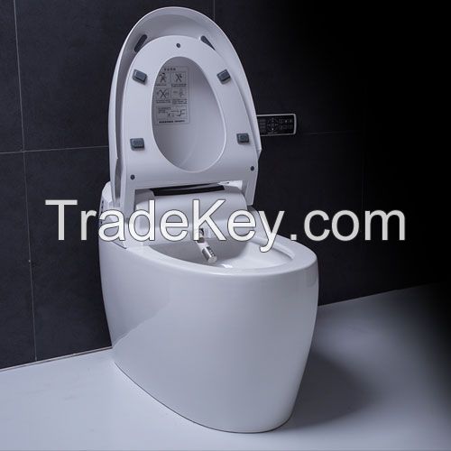 HZH Hezheng Smart toilet