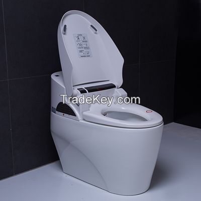 Smart computer aid toilet