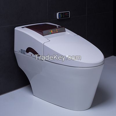 Smart close-stool Smart toilet