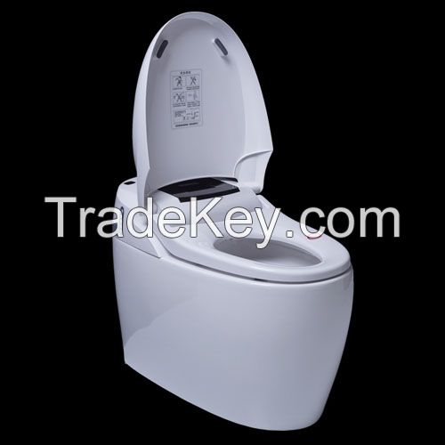 HZH Hezheng Smart toilet