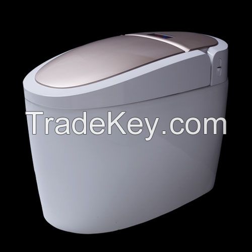 HZH/Hezheng smart toilet