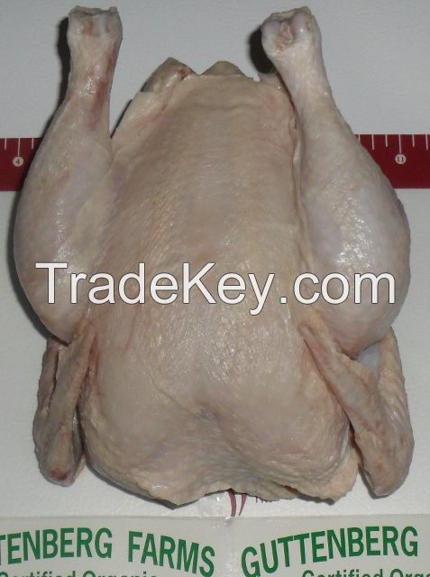 frozen whole chicken halal