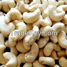 Cashew Seed