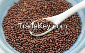 Mustard Seeds