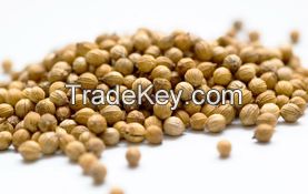 Coriander Seeds