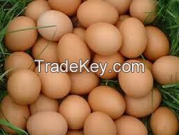 Farm white and brown  fresh chicken eggs 