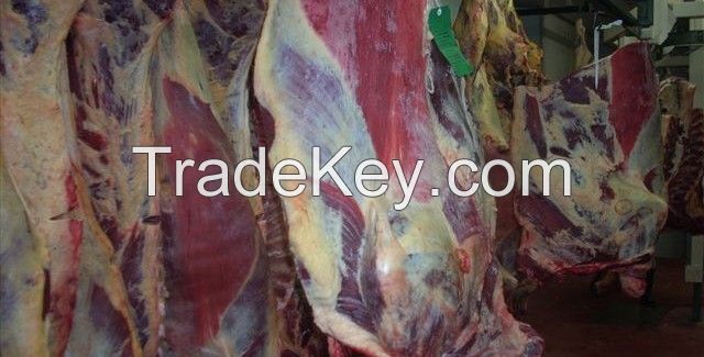 meat and meat products