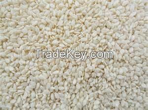 Nancia Sesame Oil-Seed