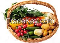 Organic Fresh vegetables