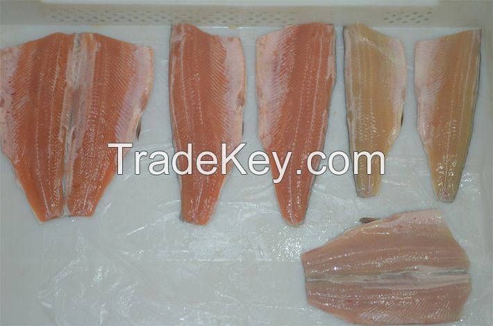 Frozen Rainbow Trout