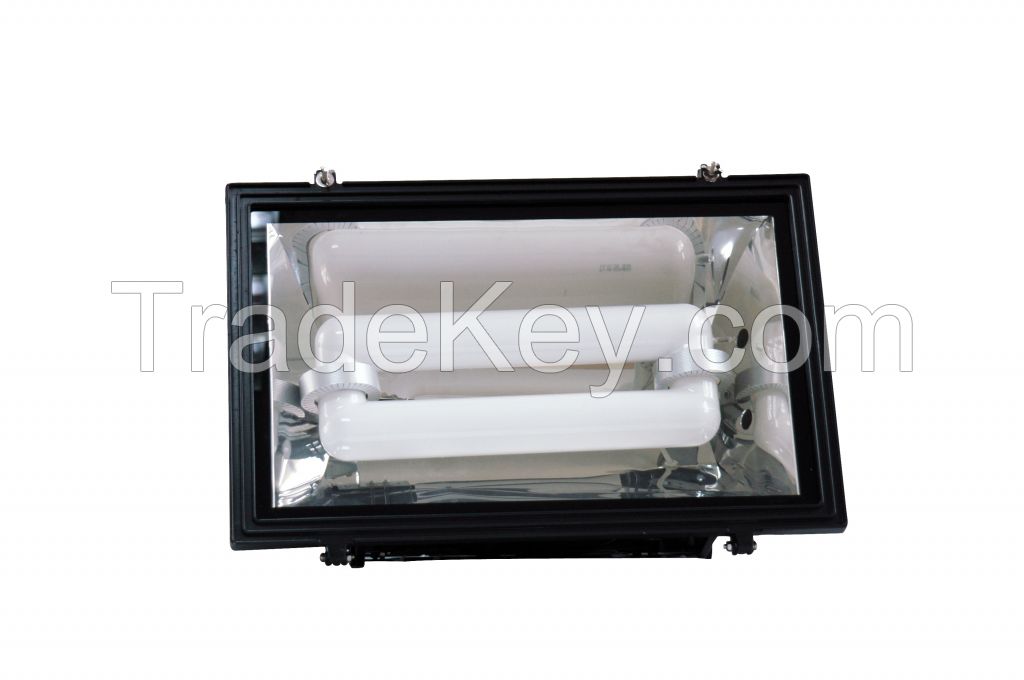 Induction Flood Light