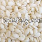 SESAME SEEDS FOR CHEAP PRICE