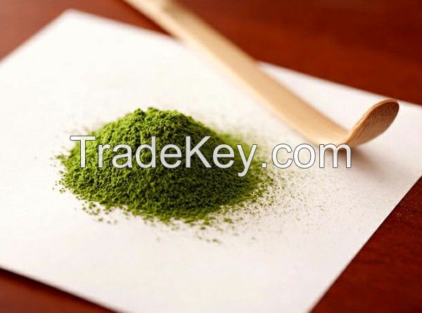 natural Matcha green tea powder