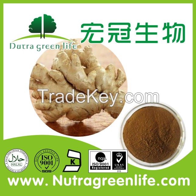 High quality chinese ginger extract , Gingerols