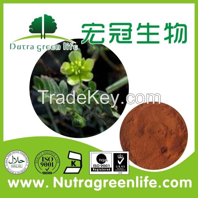 Total Saponins Tribulus Terrestris Extract