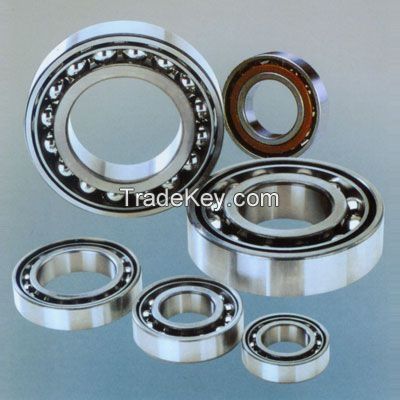 Deep Groove Ball Bearing