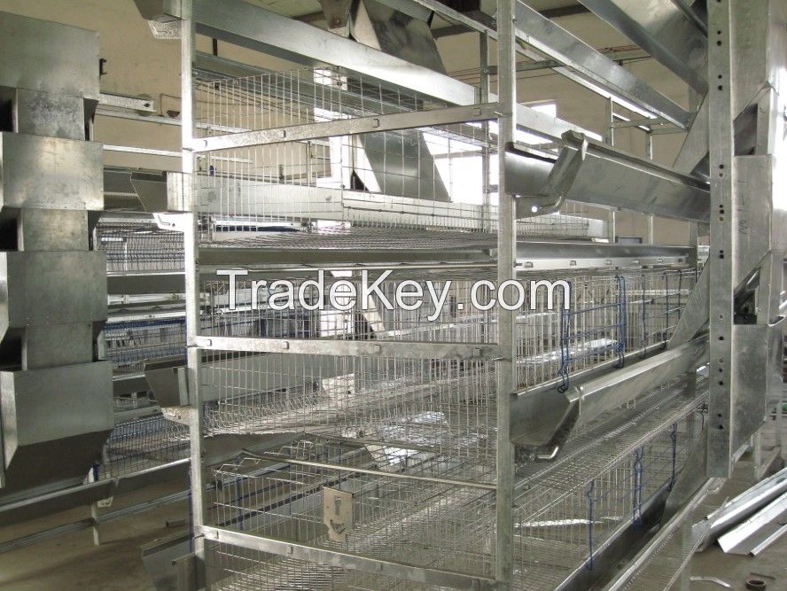 A type and H type chicken cages 