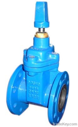 Resilient seated gate valve