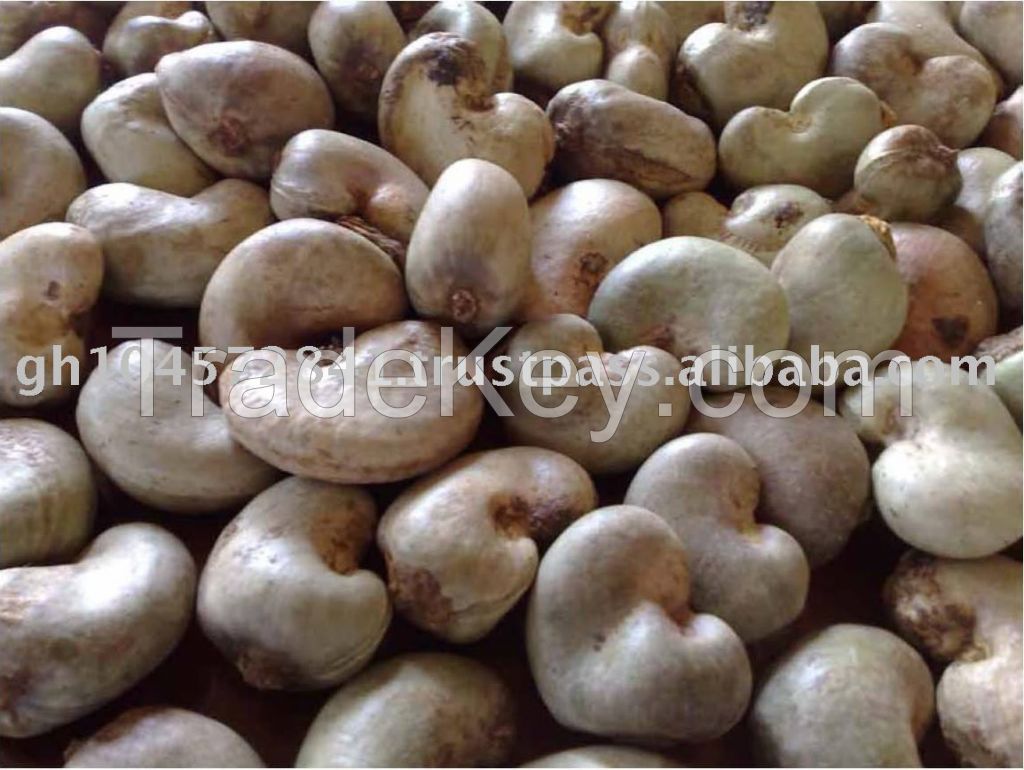 Cashew Nuts