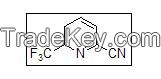 6-(trifluoromethyl)-2-Pyridincyamine