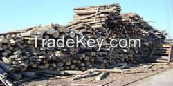 Technological Raw Materials And Fuel Wood