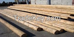 Wooden poles (Columns-Pine)