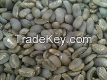 Gayo Longberry Coffee Green Beans 10 KG