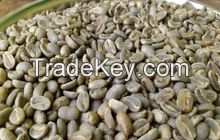 Mandheling Arabica Green Coffee Bean 10 KG