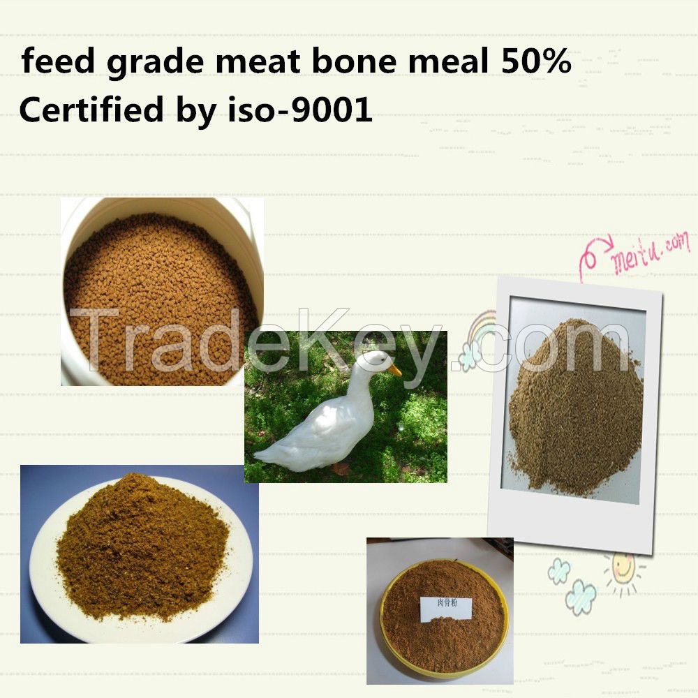 meat bone meal(MBM)