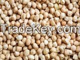 Chickpeas 