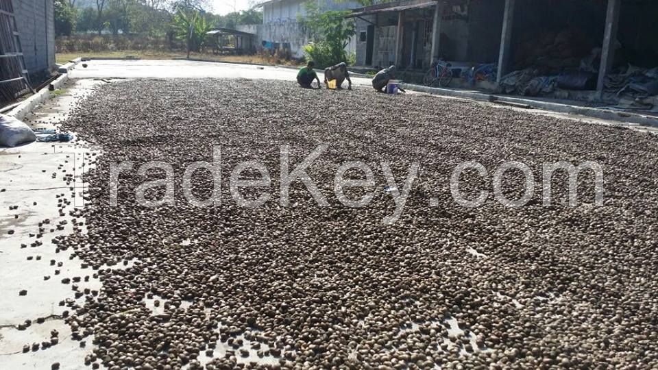 dried raw cashew nuts in shell