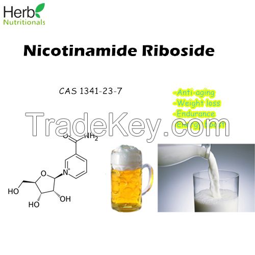 Bulk Nicotinamide Riboside (NR) Powder CAS 1341-23-7